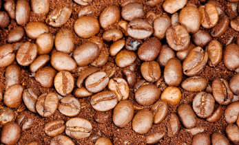Koffein